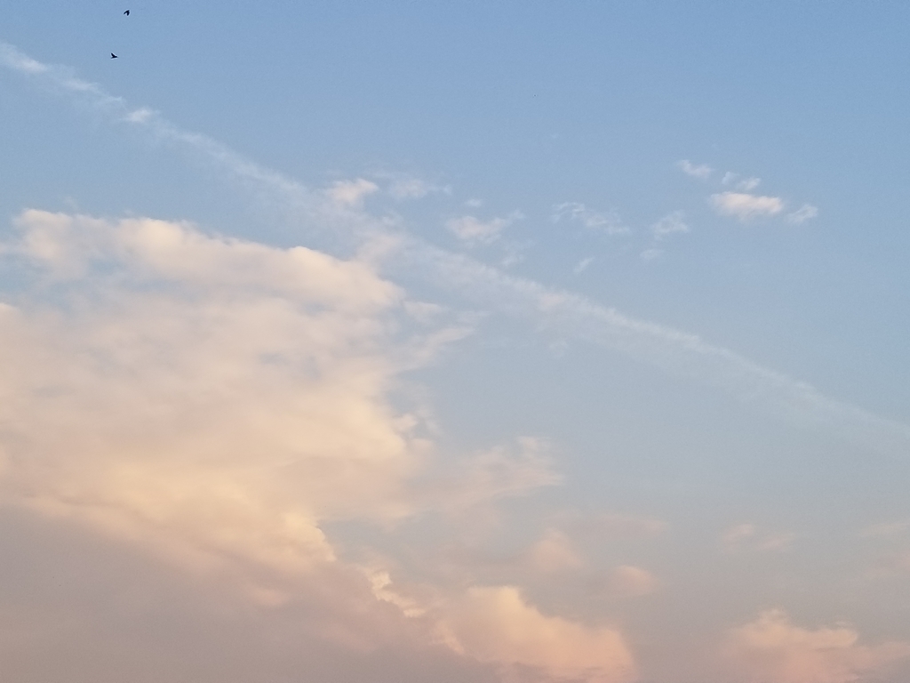 甇仿? - ??. 憭